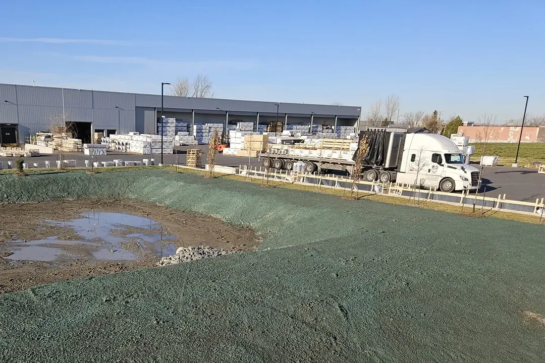 Abords d'un bassin de rétention couverts de paillis vert sur un site commercial de Longueuil