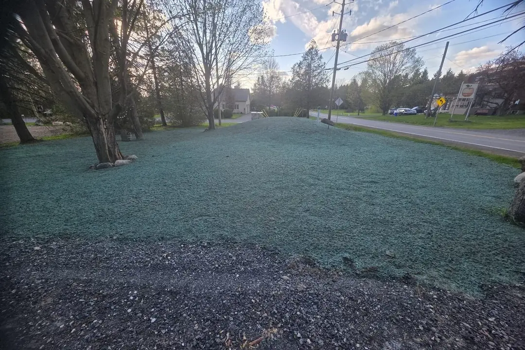 Grand terrain résidentiel à Rougemont recouvert de paillis vert