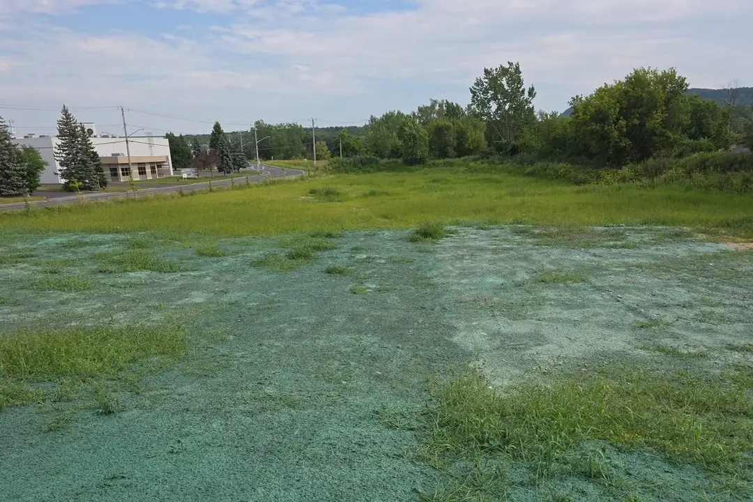 Terrain municipal à Sainte-Julie couvert de paillis vert