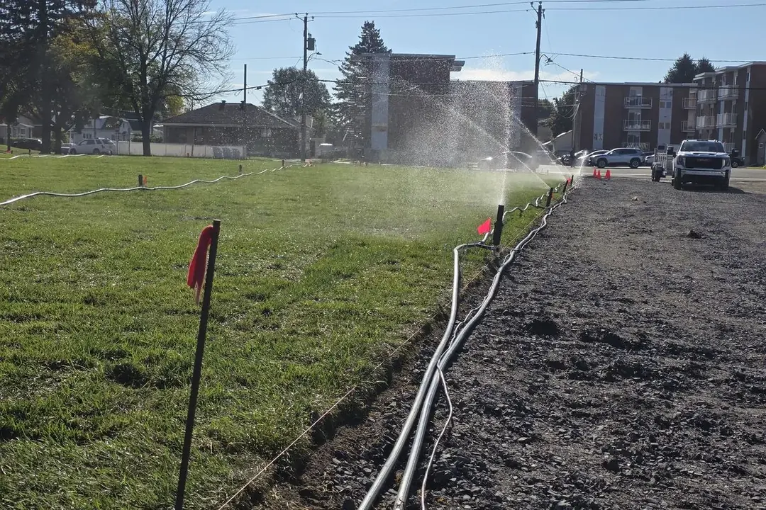 Gicleurs d'irrigation temporaire sur une jeune pelouse à Sorel-Tracy